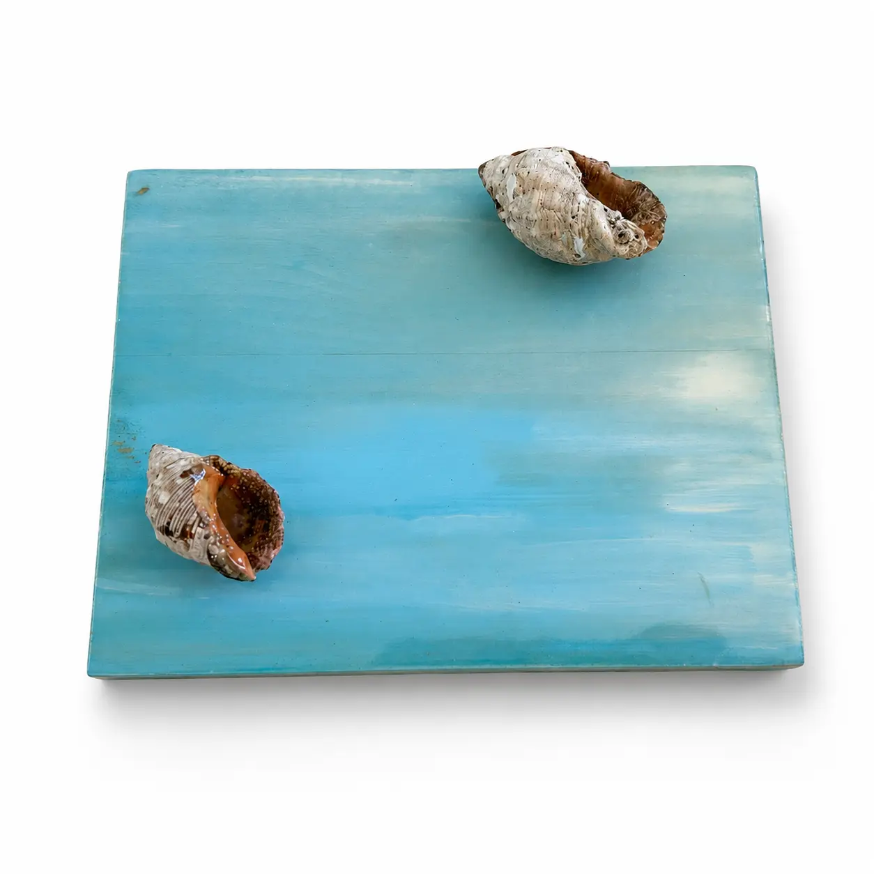 Quadretto marino con conchiglie