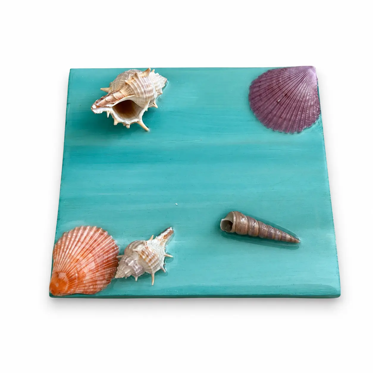 Quadretto marino turchese con conchiglie